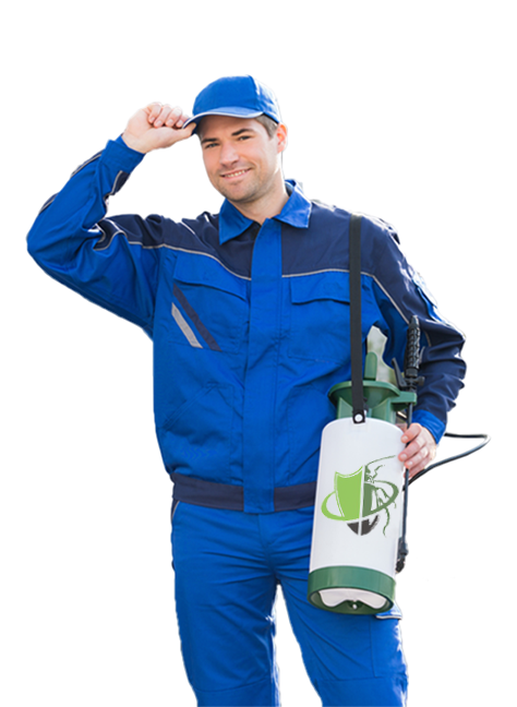 hero